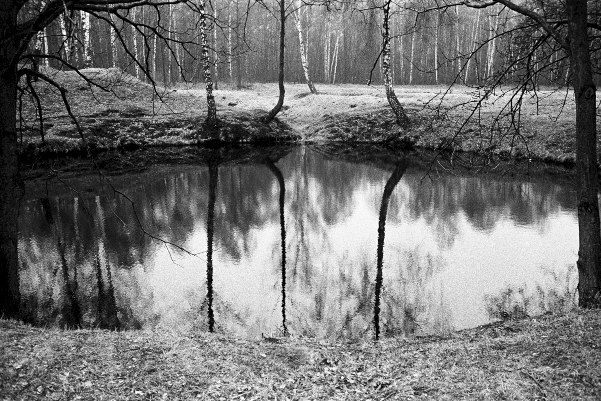 The ashes of the murdered were dumped in the ponds around Birkenau