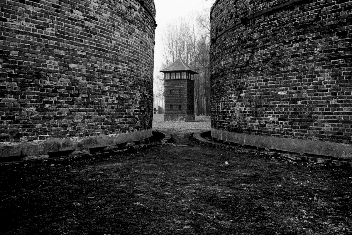 Large brick constructions in the western part of camp Birkenau belonged once to the sewage plants.