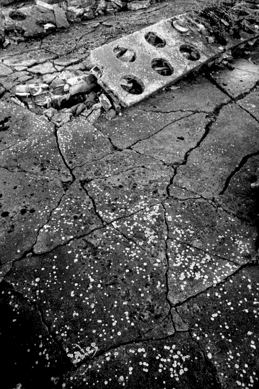 Remains of latrines at Birkenau