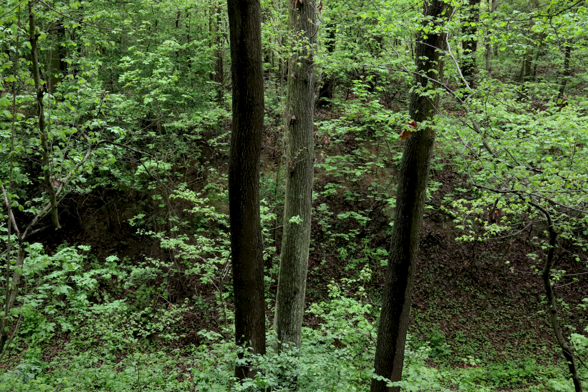 Mehr als 1000 Juden wurden hinter dem jüdischen Friedhof des Dorfes Izbica in Polen erschossen, mehrere hundert weitere im Ort selbst. Ab März 1942 war Izbica zu einem deutschen Konzentrationslager geworden, das als Durchgangslager bei Judendeportationen aus dem Ghetto Litzmannstadt in die Vernichtungslager Bełżec, Sobibór und Treblinka diente. Zeitweise waren über 19.000 Menschen unter schlimmsten Bedingungen in Izbica interniert, auch rund 8000 deutsche Juden passierten das Lager.  Vor dem Krieg waren rund 90 Prozent der 6000 Dorfbewohner jüdisch. Nur 14 Juden Izbicas überlebten den Holocaust