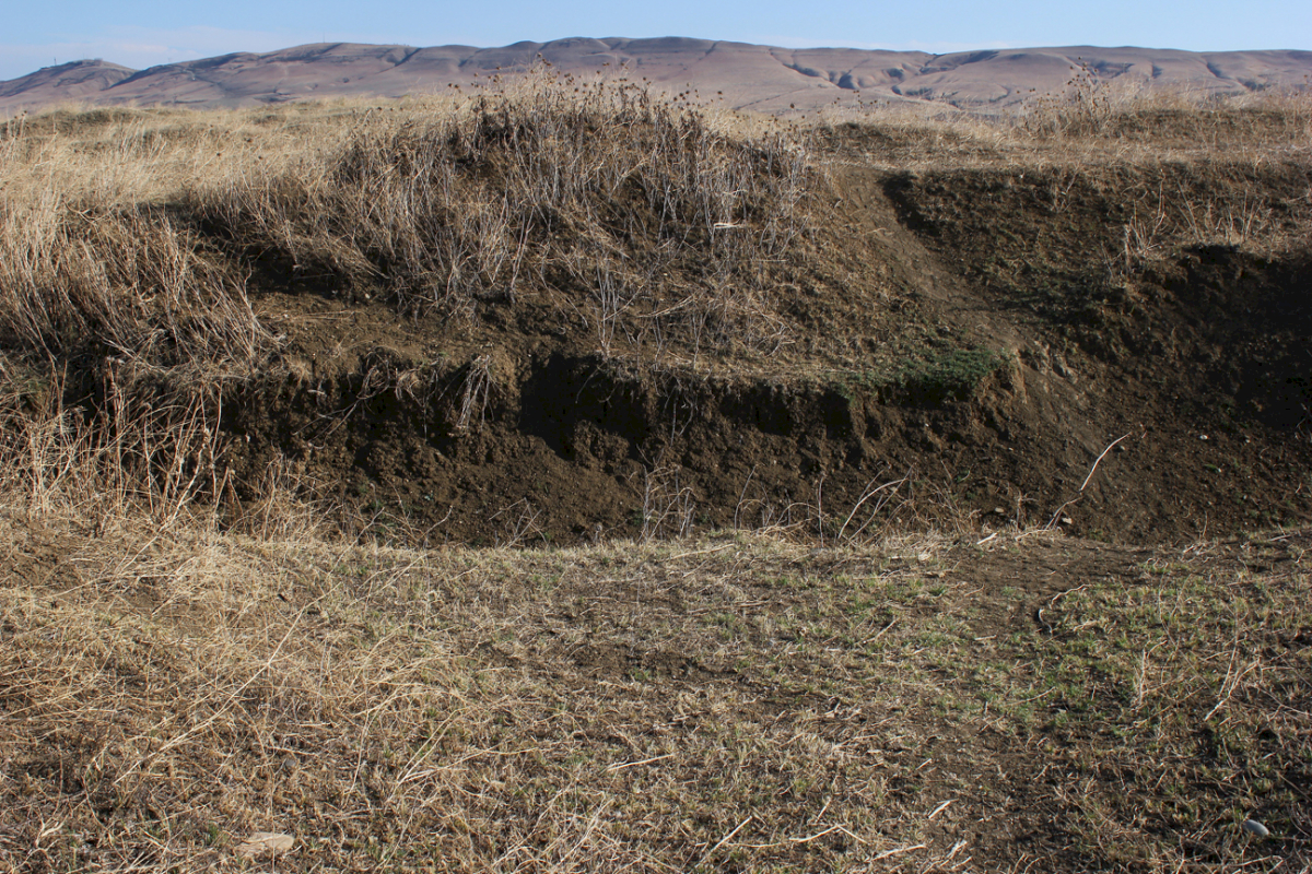 Despite soil samples and ground scans the exact location of the mass graves in Soghanlughi has not been located yet. As the area in question is vast and ground scanning is expensive and slow, local historians have little hope to find the graves in the near future.