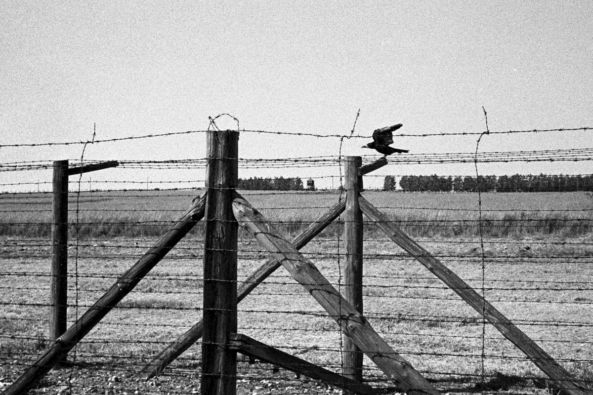 Majdanek