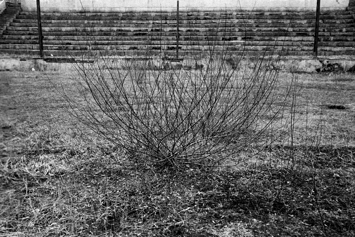 Der jüdische Friedhof von Wieniawa im ostpolnischen Lublin ist vollständig zerstört. Teile des Geländes liegen unter einem Fußballstadion und einem Schwimmbad, das Zwangsarbeiter ab 1940 für die SS errichteten. Der unbebaute Bereich des ehemaligen Friedhofs ist heute eine Brache. Die Grabsteine des Friedhofs wurden als Baumaterial verwendet. Einige Grabsteine wurden 1994 bei Renovierungsarbeiten entdeckt und gerettet. Sie sind heute auf dem Neuen Jüdischen Friedhof in Lublin zu finden.