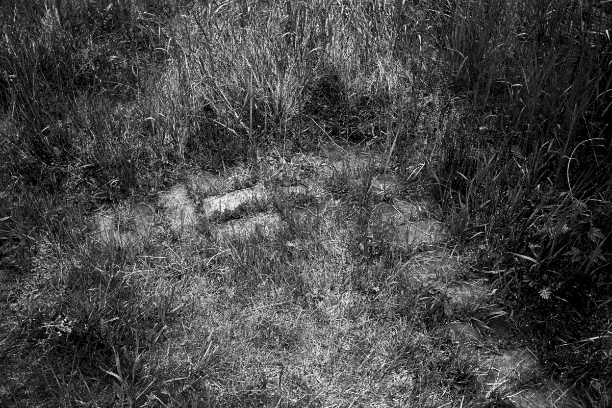 Bricks mark the corner of a prisoners' barrack in the Uckermark-camp. Only two barracks have been located so far.