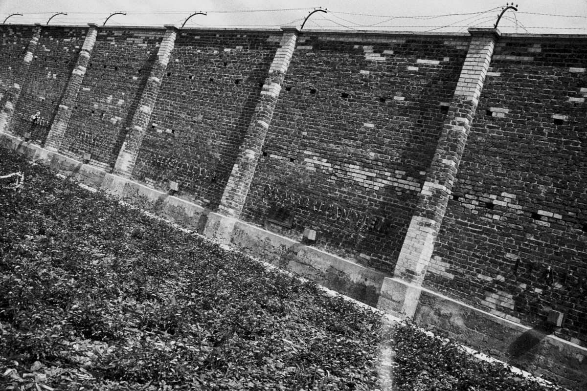 After the liberation of the camp victims were buried in various mass graves. In the Mid-1950’s the bodies were reburied in a new cemetery at the foot of the "Wall of Nations". Roses were planted on the graves