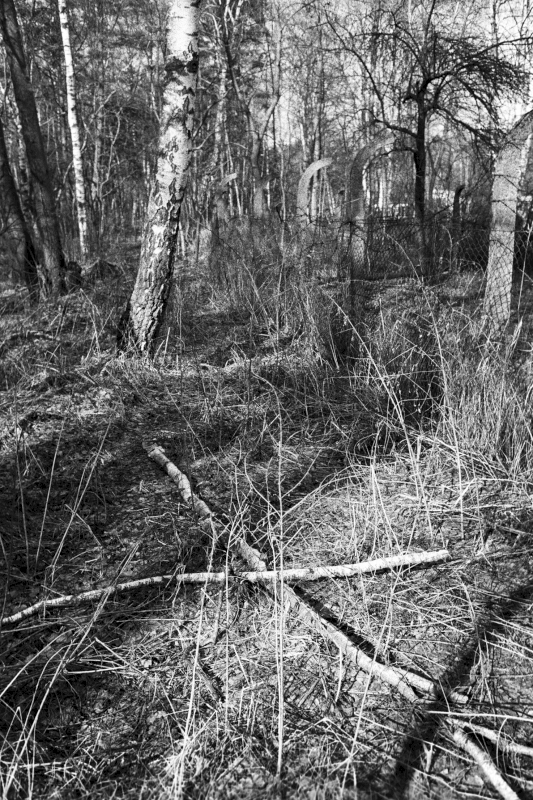 The camp site is surrounded by forest