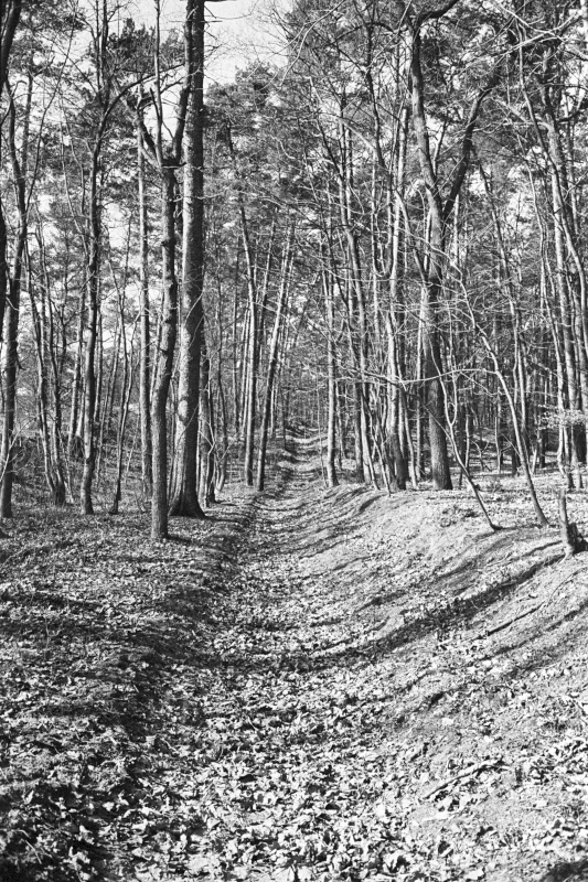 A narrow-gauge train connected the camp with the city of Gdansk. The railway embankment is still visible in the forest. On new tracks there is still a train running, connecting the village Nowy Dwór Gdański and today's Sztutowo. It runs only in summer as a tourist attraction.