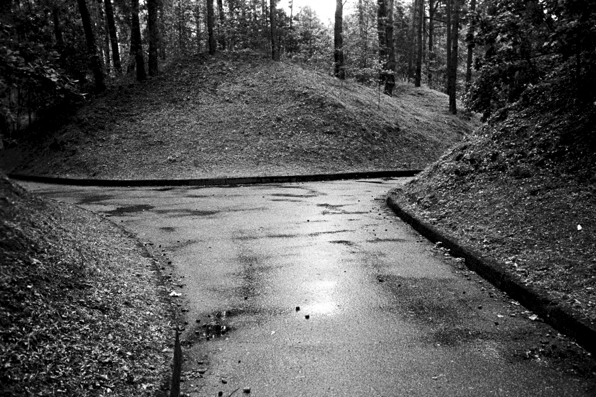 About 100,000 people were shot in the forest of Paneriai, close to the Lithuanian capital of Vilnius. About 70,00 Jews, 20,000 Poles and about 8000 Soviet POW's were shot.